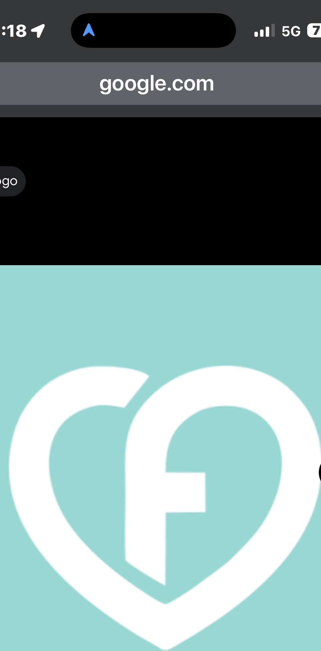 Logo Taxi Fofinho